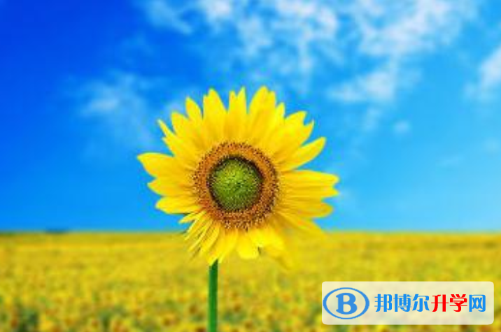 2021年广元中考信息服务平台