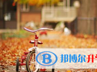 2021年宜宾中考招生计划查询