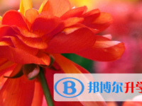 2021年宜宾中考信息服务平台