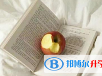 2021年宜宾中考网络平台