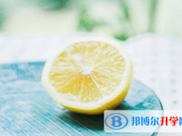 2021年广元中考在哪里查询