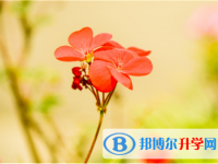 2021年阿坝中考信息服务平台