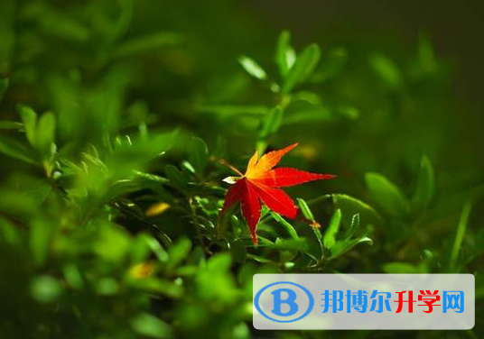 2021年甘孜中考体考标准