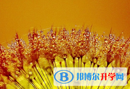 2021年甘孜中考具体时间