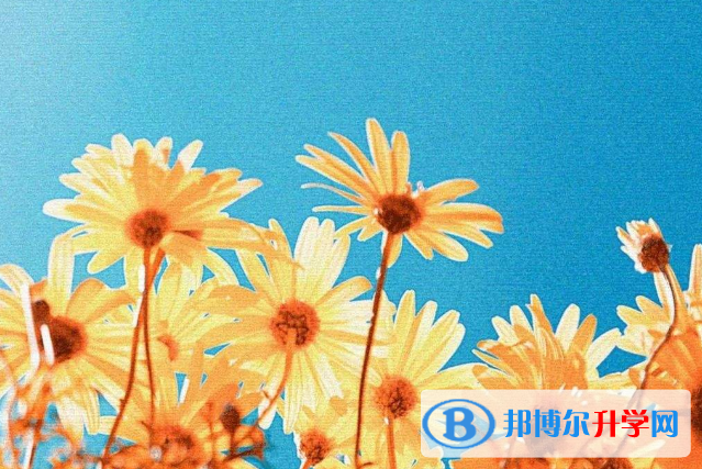 2021年广元中考政策