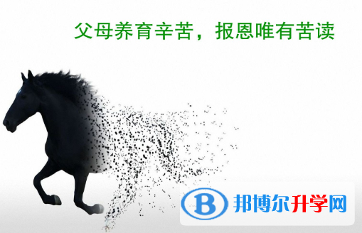 2021年甘孜中考失利怎么办