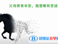 2021年甘孜中考失利怎么办