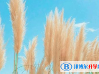 2021年广元中考重点复习资料
