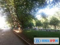 安顺市第一高级中学2025年招生代码