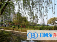 乐山市外国语学校2025年学费、收费多少