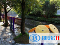 乐山市外国语学校2025年招生办联系电话