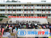 麻栗坡县第一中学2024年排名