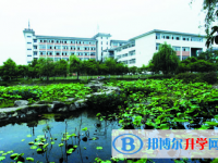 富顺县城关中学2024年招生代码