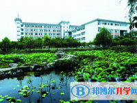 富顺县城关中学2025年招生代码
