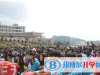 马关县第一中学2024年排名