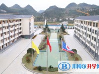 紫云民族高级中学2025年招生代码