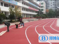 苍溪县歧坪中学2025年招生代码