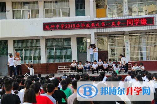 苍溪县歧坪中学怎么样、好不好