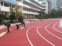 苍溪县歧坪中学2025年排名