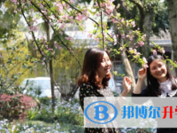 四川省犍为县孝姑中学2025年招生代码