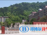 重庆西藏中学2024年招生简章