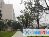 荣县玉章高级中学校2025年招生代码