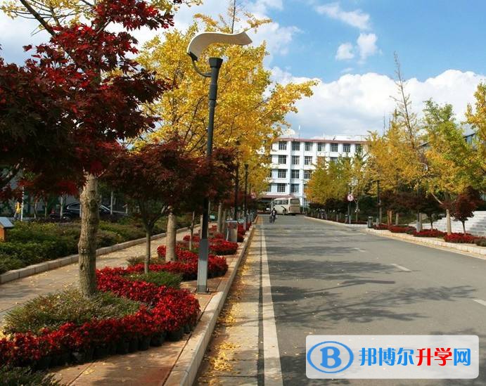 重庆第六十六中学校2021年排名