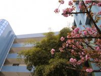 贵阳市第十二中学2025年招生计划