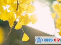 2021年广元外地生参加中考