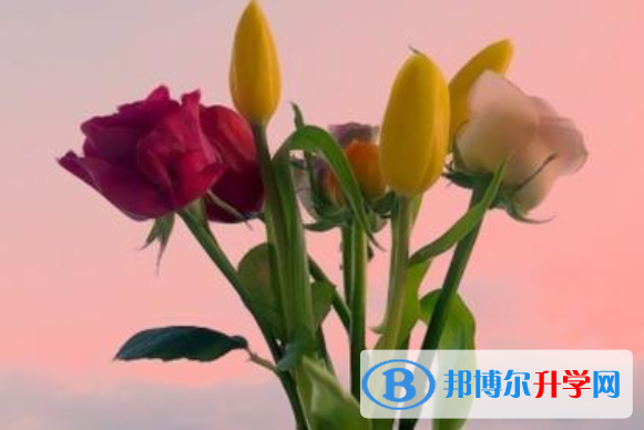 2021年咸阳中考报名