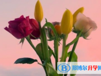 2021年咸阳中考报名