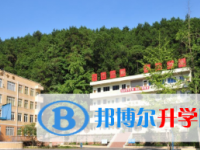 乐山第四中学2025年招生简章