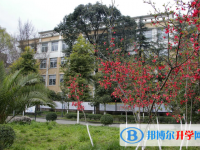 安县秀水中学2025年招生办联系电话