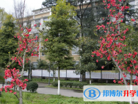 安县秀水中学2025年学费、收费多少
