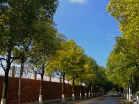 贵阳市第一中学2025年报名条件、招生要求、招生对象