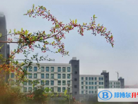 铜仁第一中学2025年招生代码