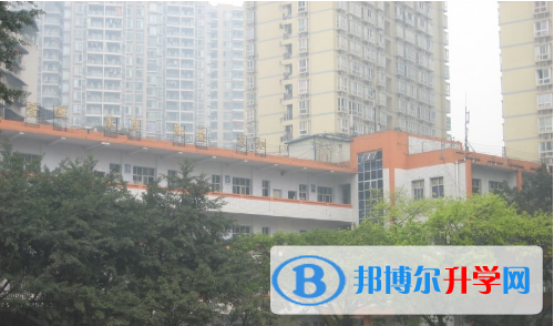 重庆市沙坪坝实验中学校网站网址