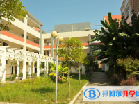 四川省盐亭中学2025年招生代码