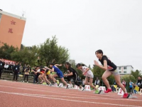 大英县育才中学2025年排名