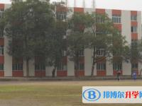 富顺第三中学校2024年招生代码