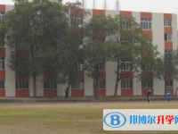 富顺第三中学校2025年招生代码