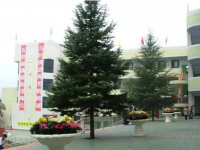 资中县龙结中学2025年报名条件、招生要求、招生对象