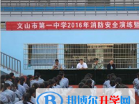 文山州第一中学2025年排名