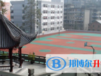 四川省乐山市草堂高级中学2024年招生代码