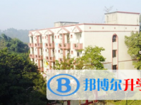 乐山新桥中学2025年招生代码