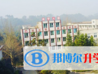乐山新桥中学2025年学费、收费多少