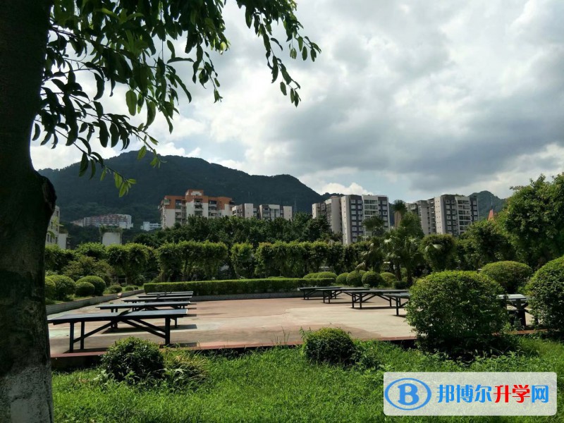 重庆市木洞中学2021年报名条件、招生要求、招生对象 