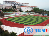 重庆市万州区武陵中学2024年排名