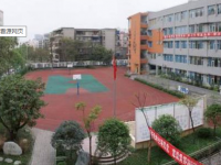 成都市田家炳中学地址在哪里