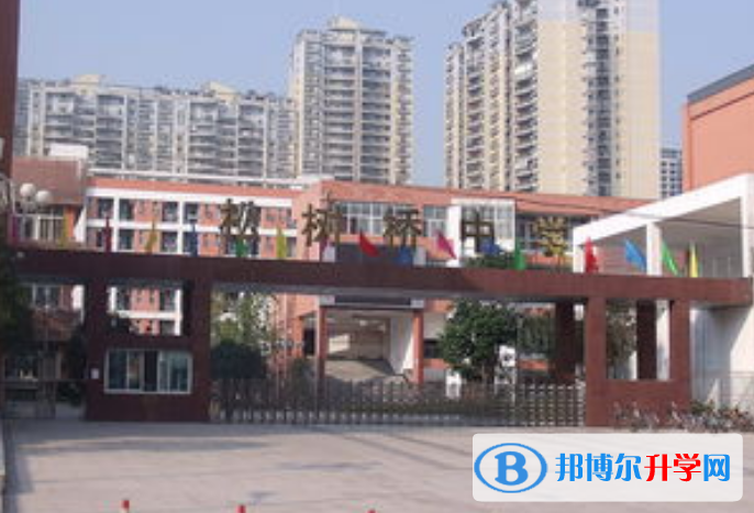 重庆松树桥中学校2021年学费、收费多少 